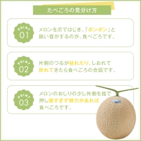 等級「山」アローマメロン　1.4kg以上　１個　静岡が世界に誇る最高級メロン　大玉