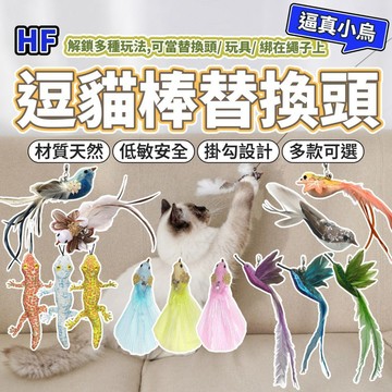 NeeBoo 仿真鳥 逗貓棒替換頭 仿真鳥 昆蟲 替換頭 羽毛逗貓棒 小鳥逗貓棒 幼貓玩具 貓玩具 逗貓棒 毛大二寵物店
