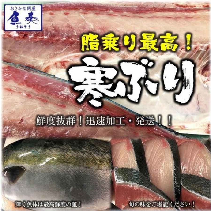 寒ブリ 半身 おろし済み 約1.5kg〜 九州産 お刺身用 チルド ぶり 鰤 ぶりしゃぶ 照焼き 忘年会 お歳暮 業務用 食品 おかず お弁当