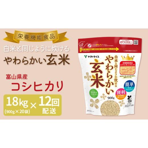 ふるさと納税 愛知県 碧南市 やわらかい玄米 900g×20袋　※定期便12回　安心安全なヤマトライス　H074-526