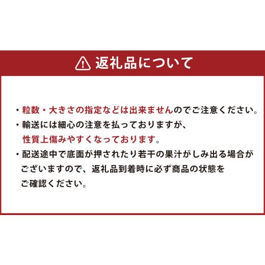 ふるさと納税 熊本県 熊本市  熊本産 ゆうべに 250g×10パック 計2.5kg いちご イチゴ 苺