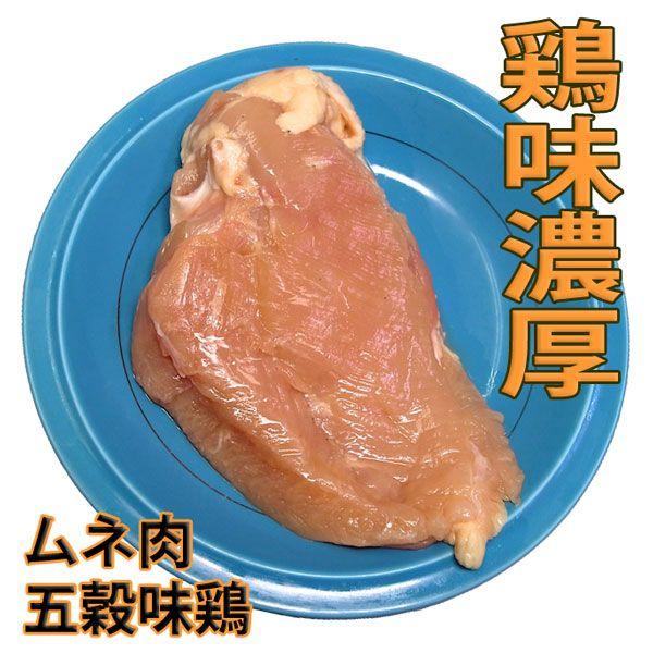 鶏肉 塊肉 鶏むね肉 五穀味鶏 1枚 冷凍 真空パック（ブロック かたまり）肉