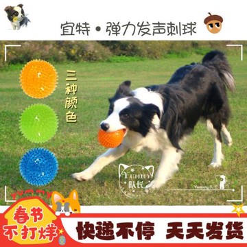 宜特彈力發聲刺球 寵物狗狗大型犬幼犬巡回訓練耐咬互動尋回玩具