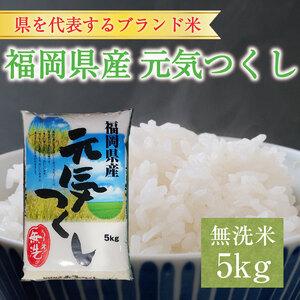 ふるさと納税 福岡県産 元気つくし 無洗米 5kg(5kg×1) [a0196] 株式会社 藤食糧 添田町 ふるさと納税 福岡県添田町