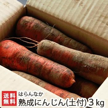 魚沼産 無農薬栽培 熟成にんじん（土付き）3kg はらんなか 送料無料