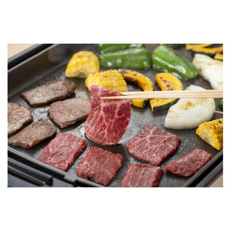 ふるさと納税 鳥取和牛フィレ　焼肉用お肉 肉 牛肉 和牛 鳥取和牛 牛肉 肉 国産 お肉 冷凍ヒレ ステーキ 肉 牛肉 ヒレ フィレ ステーキ 鳥取県倉吉市