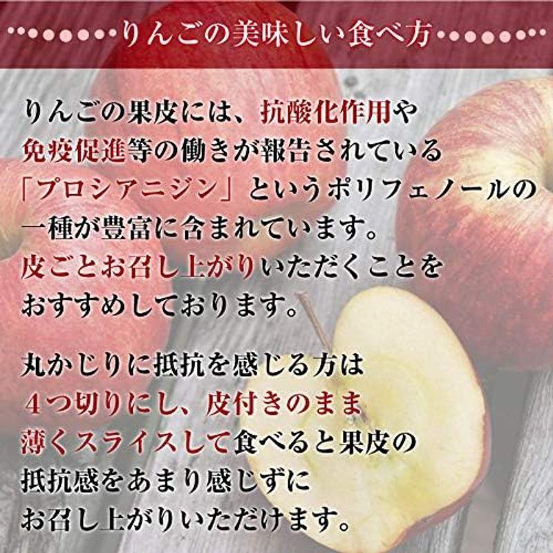 早生ふじ 約 10kg 28-32玉 大玉 青森県 長野県産ほか フジ 早生 早生 ふじ 赤 産地箱 りんご