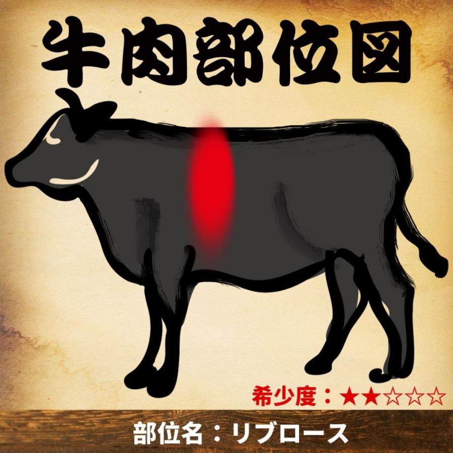 佐賀牛 リブロース 約9〜12kg A5ランク 5等級 産地直送 牛肉 国産肉 ブロック 業務用 焼き肉 バーベキュー