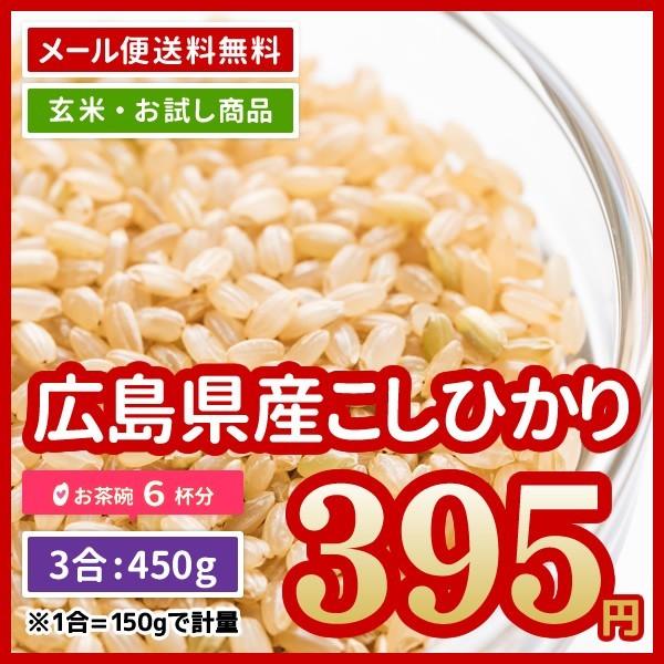 玄米 送料無料 お試し 米 お米 広島県産 コシヒカリ 450g ポイント消化 令和5年産 ※ゆうパケット配送のため日時指定・代引不可