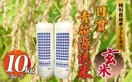 特別栽培米コシヒカリ 日貫青笹源流米 10kg（5kg×2袋）令和5年10月よりお届け