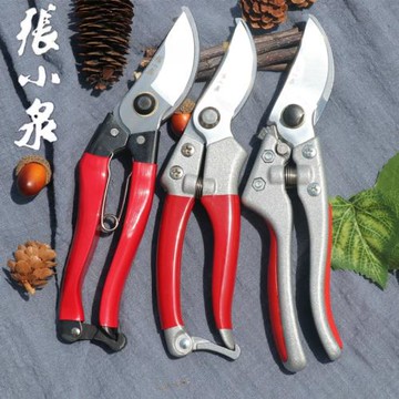 張小泉剪枝剪刀 sk5剪樹枝修果樹花剪園林綠化工具枝剪子園藝剪刀