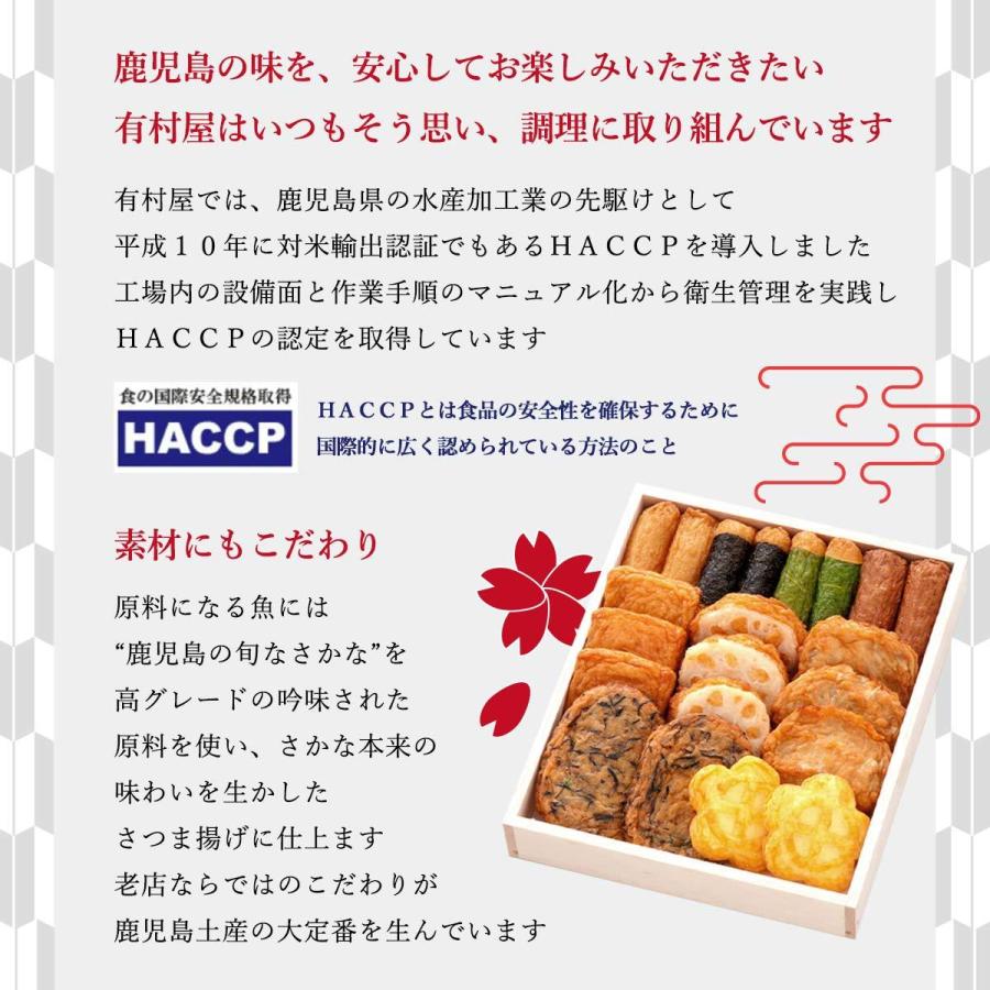 [有村屋] さつま揚げ レトルト 85g  鹿児島県 さつまあげ おいしい お取り寄せ グルメ