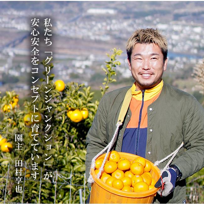 みはや みかん 2kg 無農薬 和歌山 農家直送 みはやオレンジ 柑橘