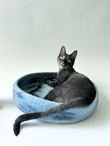 Zzzzap小墊幾質感羊毛貓狗睡墊適用18斤內貓小型犬