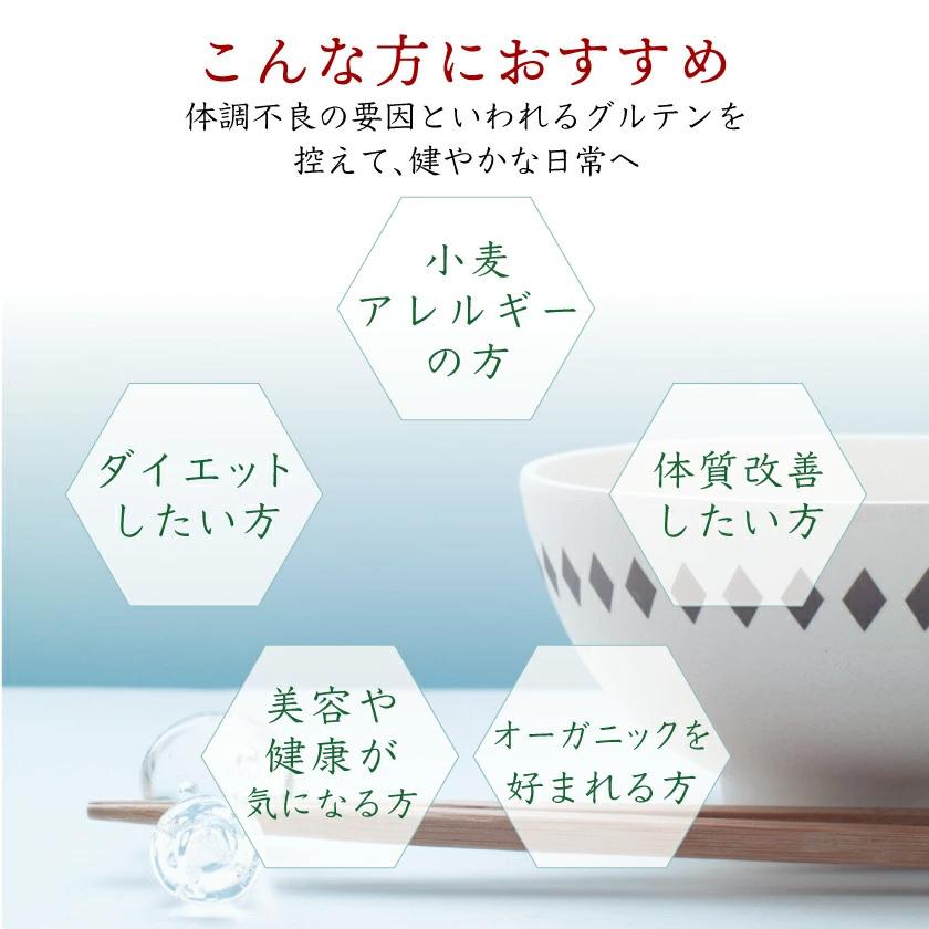 プレゼント グルテンフリー パスタ 発芽玄米ぱすた2mm 10食 送料無料 米粉麺 スパゲッティ 無添加 アレルギー対応 国産 オーガニック