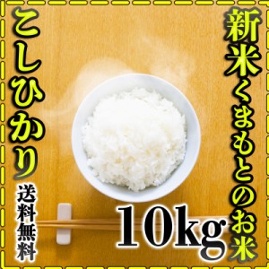 お米 米 10kg 白米 送料無料 熊本県産 こしひかり あす着 新米 令和5年産 コシヒカリ 5kg2個 くまもとのお米 富田商店 とみた商店