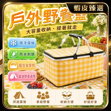 🏆 蝦皮隔日到🏆 現貨免運 加大野餐籃 防潮防水 戶外野餐籃 保溫保冷 保溫袋 格子野餐籃 布藝野餐籃 文藝野餐袋 露營