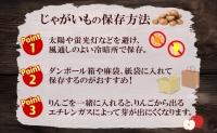 北海道産 じゃがいも きたかむい 約10kg Lサイズ ジャガイモ キタカムイ 馬鈴薯 いも ポテト 常備野菜 根菜 産直 国産 日本産 JAようてい 送料無料 北海道 倶知安町