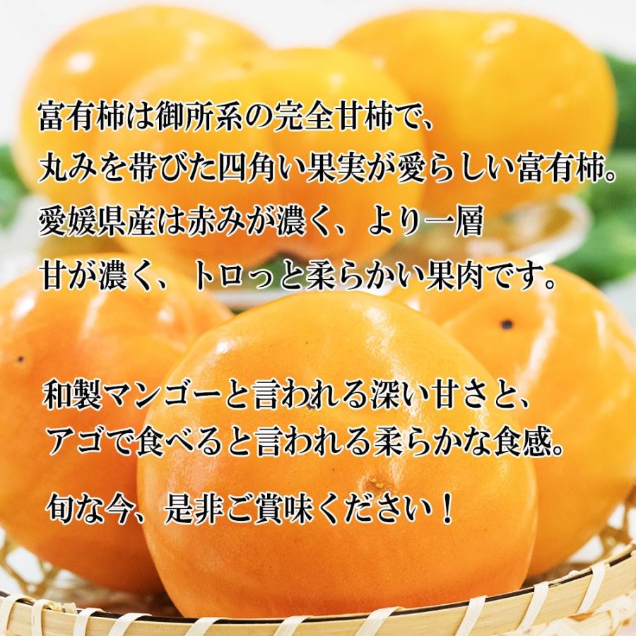 柿 かき 富有柿 ふゆうがき 愛媛県産 ご家庭用 約4ｋｇ M〜3L いずれか 送料無料