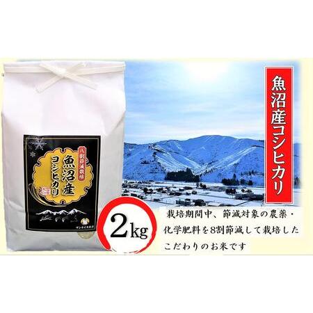 ふるさと納税 安心・おいしい！魚沼産コシヒカリ 精米 2kg×1 新潟県魚沼市