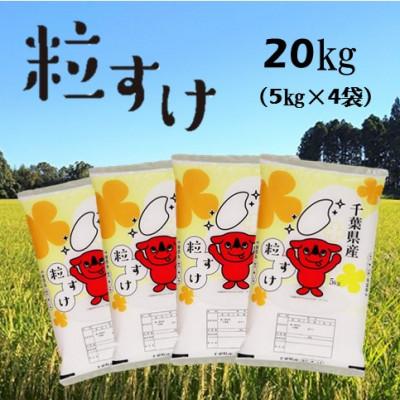 ふるさと納税 白子町 新米 令和5年産千葉県産粒すけ 精米 20kg (5kg×4袋)