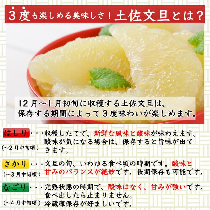 ＼2月中旬発送予約／ 無農薬 土佐文旦 有機肥料 家庭用 5kg 高知県産 2L-L 混合 糖度13度