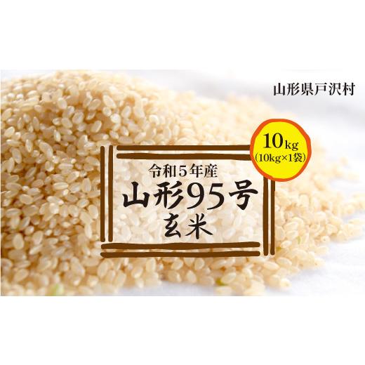 ふるさと納税 山形県 戸沢村 令和5年産　山形95号10kg（10kg×1袋）　山形県戸沢村