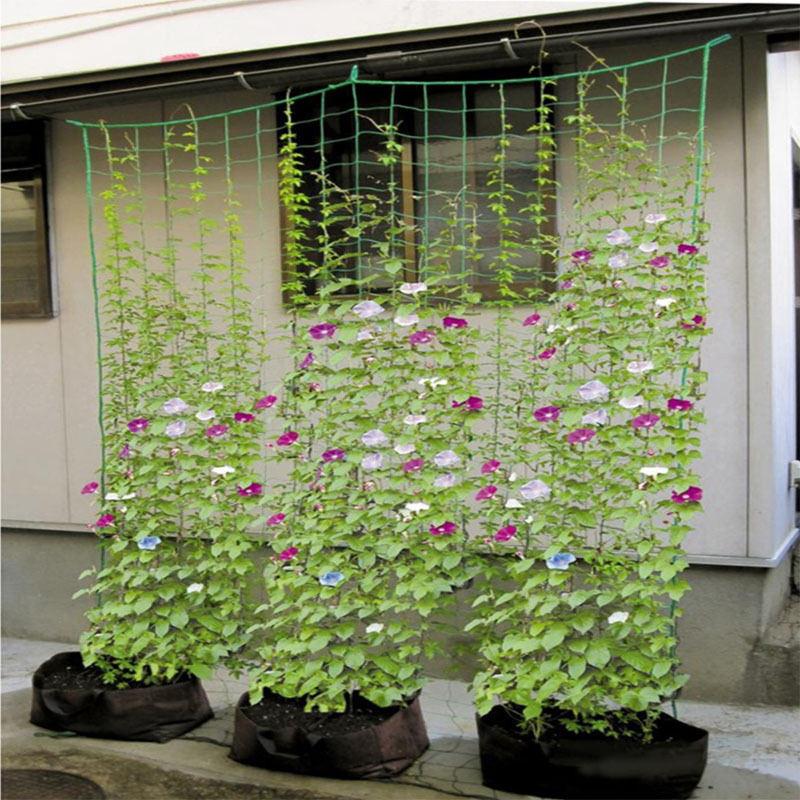 つる植物 ネット つる栽培ネット 園芸ネット かんたん ガーデニングネット 10cm角目 農業用 園芸用