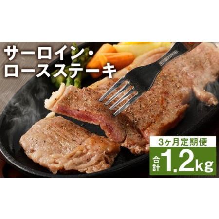 ふるさと納税 熊本県産 黒毛和牛 サーロイン・ロース ステーキ 400g ブラックペッパー付 牛 肉 熊本県菊池市