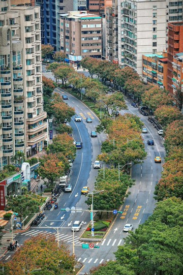 【忠誠公園7+8F】欒樹綠茵+坡平車位【全室開窗】｜台北市士林區忠誠路一段