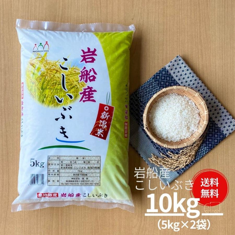 新米 米 お米 10kg こしいぶき 岩船産 5kg×2袋 本州送料無料 令和5年産