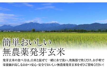 令和5年・新潟県産｜JAS有機栽培アイガモ農法 コシヒカリ 発芽玄米 2kg