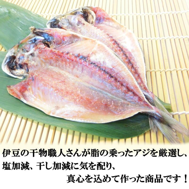 あじの干物 10枚セット アジの干物　送料無料　（計北海道は送料 500円、沖縄県は送料 800円がかかります）　伊豆名産の干物　真鯵　・あじ干物10枚セット・