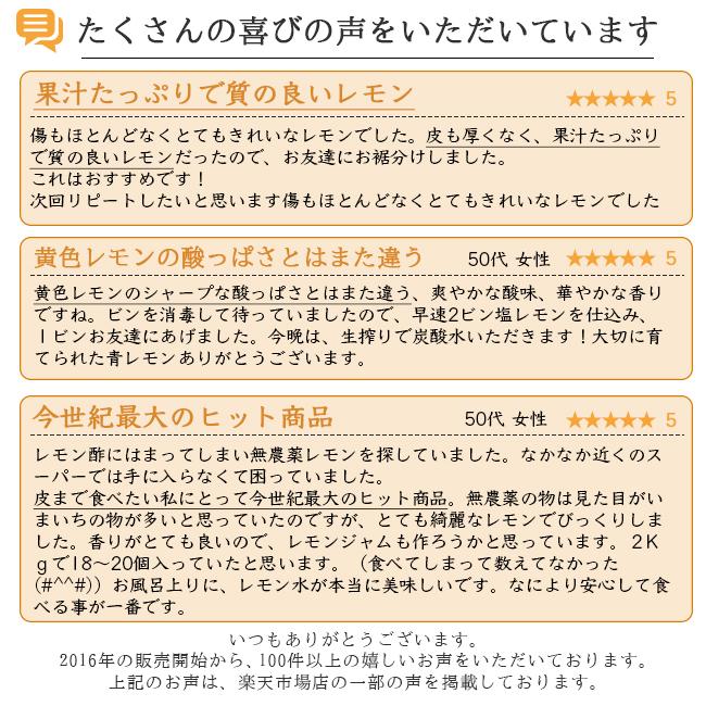 レモン 無農薬 国産 10kg 送料無料 グリーンレモン 青レモン 無農薬レモン ノーワックス 有機栽培 和歌山産 レモン酢 塩レモン 産地直送 グリーンジャンクション