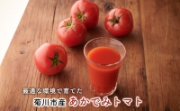 菊川産あかでみトマト100％のトマトジュース780ml×1本＆あかでみトマトで煮込んだミネストローネ3個セット　国産 美容 健康 疲労回復 老化防止