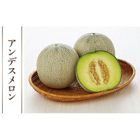 ふるさと納税 007-1茨城県産アンデスメロン約2kg（2玉） 茨城県茨城町