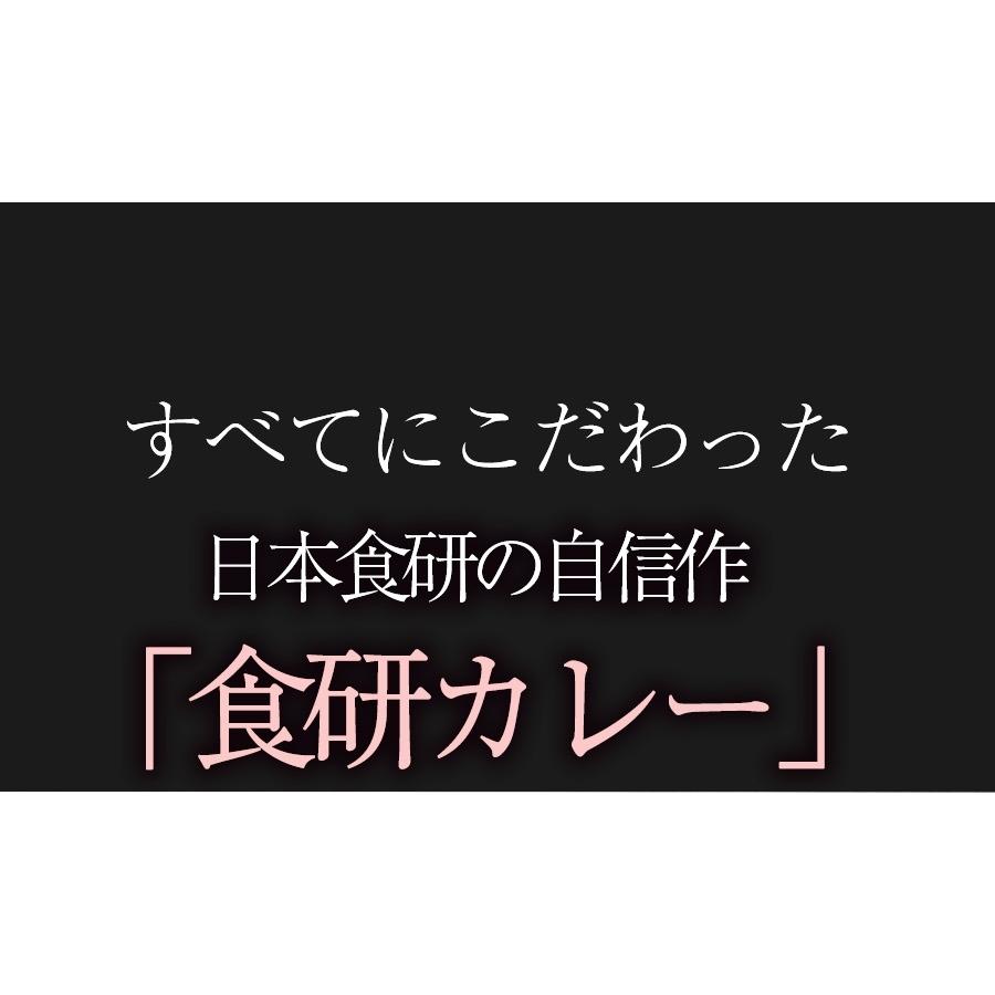 食研カレー 日本食研 3kg×4袋 欧風ビーフカレー 大容量 業務用 レトルト ケース販売