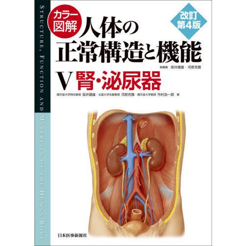 カラー図解 人体の正常構造と機能 腎・泌尿器