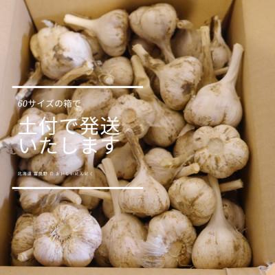 ふるさと納税 上富良野町 上富良野町産　にんにく(Sサイズ)　約1.2Kg