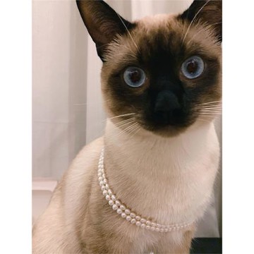 WITH GJ 簡約經典天然淡水珍珠項鏈女時髦百搭不規則巴洛克鎖骨鏈