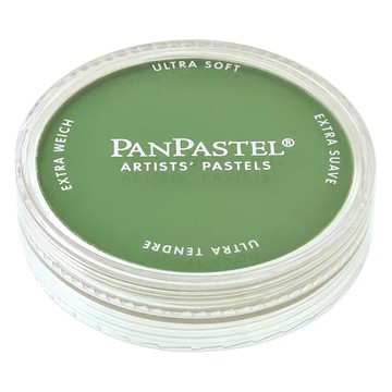 PANPASTEL 軟質藝術家盤粉彩餅 適用於彩色/單色素描 粉質柔軟細緻  1色  1個