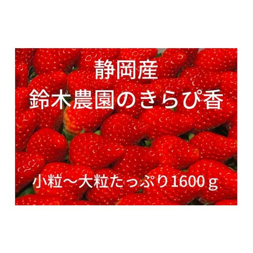 ふるさと納税 静岡県 牧之原市 152-2　鈴木農園の朝摘みいちご（きらぴ香）1.6kg（800g×2）