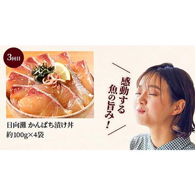 ふるさと納税 延岡市 日向灘 海鮮漬け丼 バラエティ(延岡市)全3回