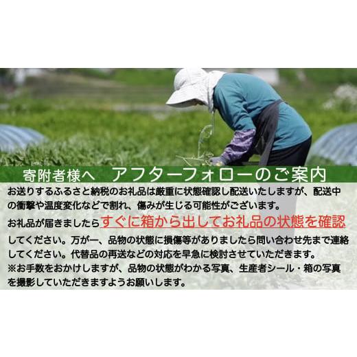 ふるさと納税 山形県 尾花沢市 メロン 2種類 青肉・赤肉セット 7月下旬〜8月上旬頃発送 令和6年産 2024年産 山形県産 観光物産 kb-mlrbx2