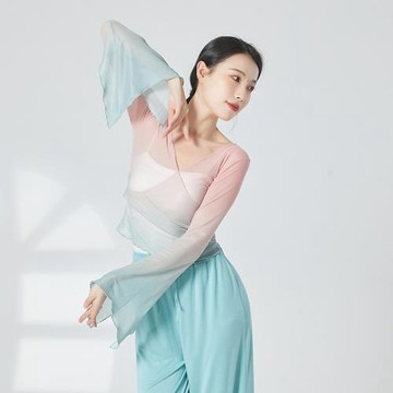 古典舞練功服身韻服紗衣中國舞舞蹈服女飄逸上衣集訓演出服