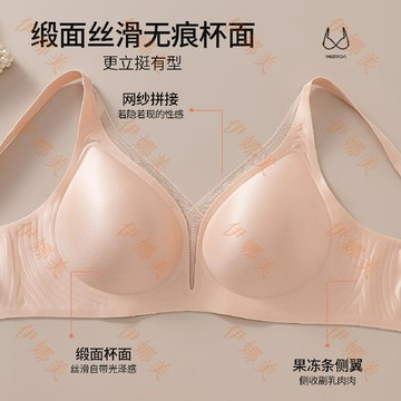 【臺灣出貨👙】新款緞面V領網紗抹胸內衣女防下垂小胸聚調整型大碼提拉內衣【伊娜美】