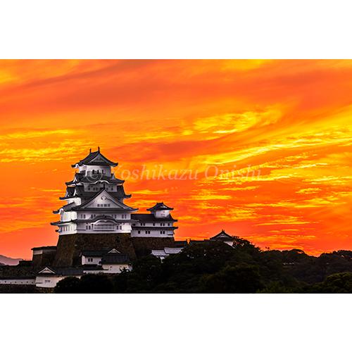 絶景姫路城 世界文化遺産・国宝 大西義和 写真