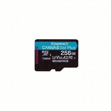 【贈品限定勿下單】KINGSTON SDCG4 記憶卡-256GB
