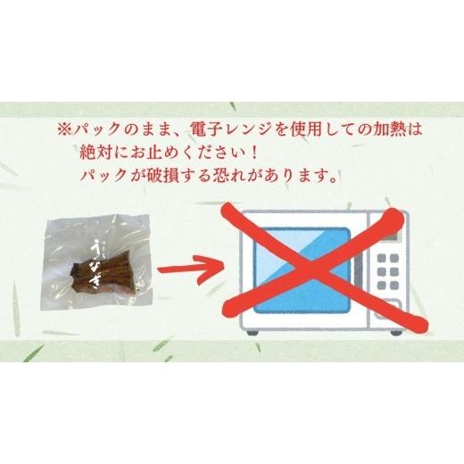 ふるさと納税 三重県 津市 職人手焼き「国産うなぎ」蒲焼カット10パック（600g）