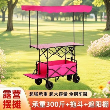 ❤限時免運❤便攜式拖斗露營車擺攤車可摺疊野餐車手拉車露營車可坐雙人野營車 利南通家俱
